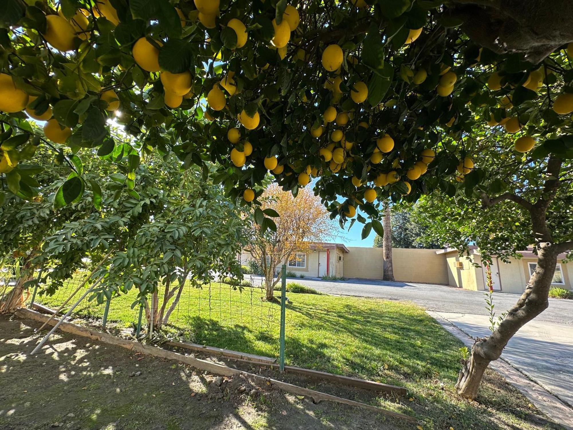 هيميت Royal Inn And Suites المظهر الخارجي الصورة